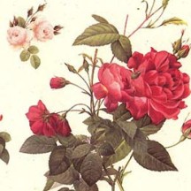 Mixed Rose Bouquets Italian Paper ~ Tassotti